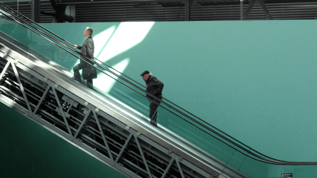 Social contribution activity 1