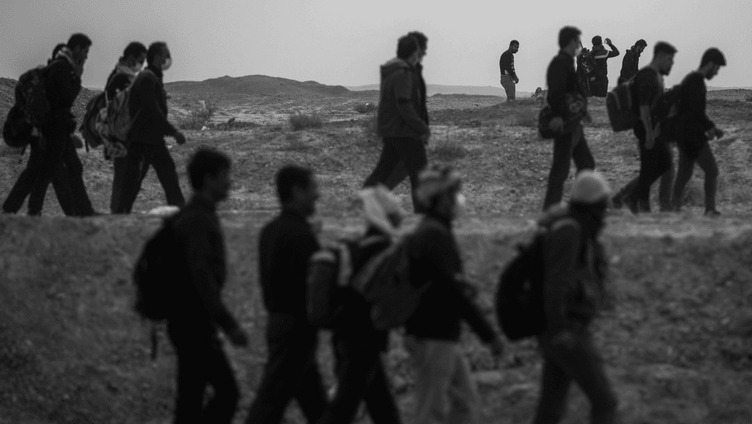 Social contribution activity 2