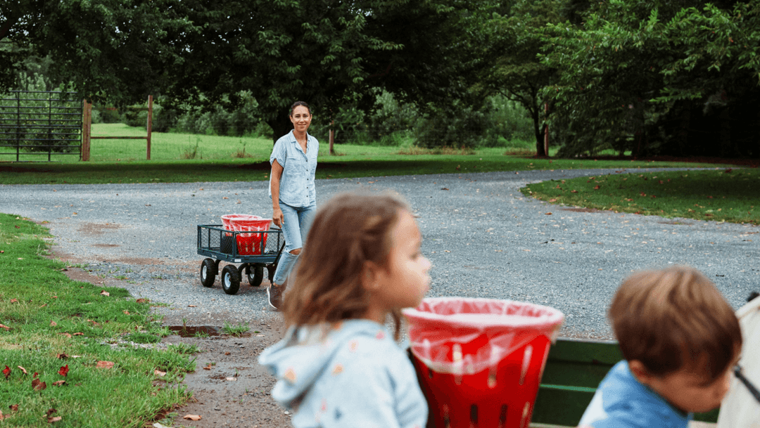 Social contribution activity 4