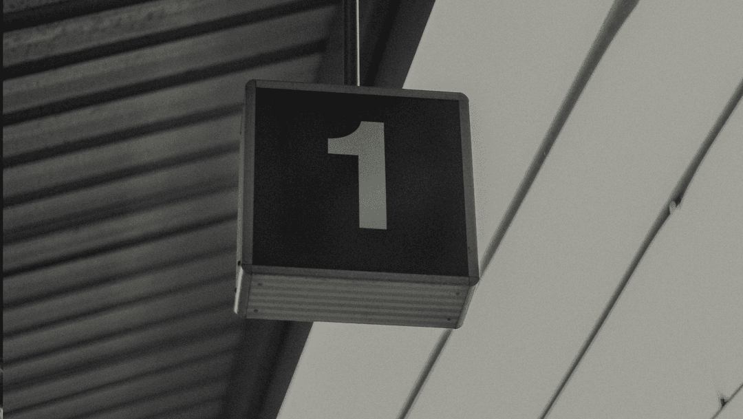 Social contribution activity 7