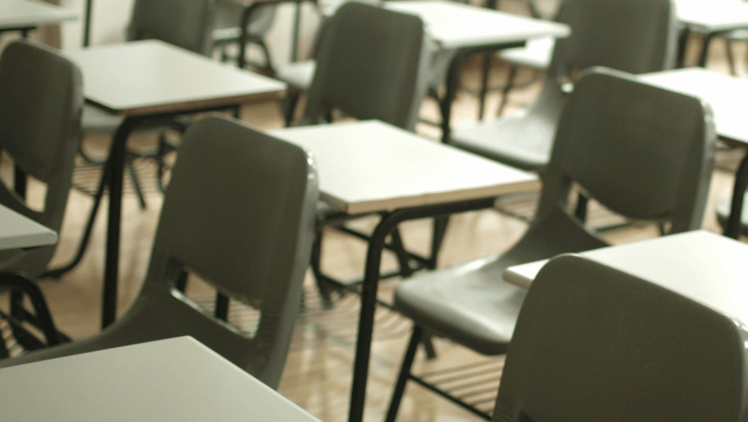 Social contribution activity 8